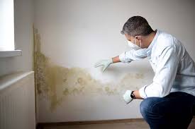 Professional Mold Removal Services in Sturtevant, WI